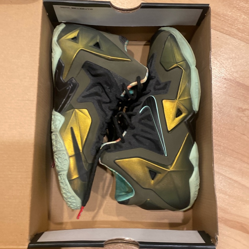 Nike LaBrons 11